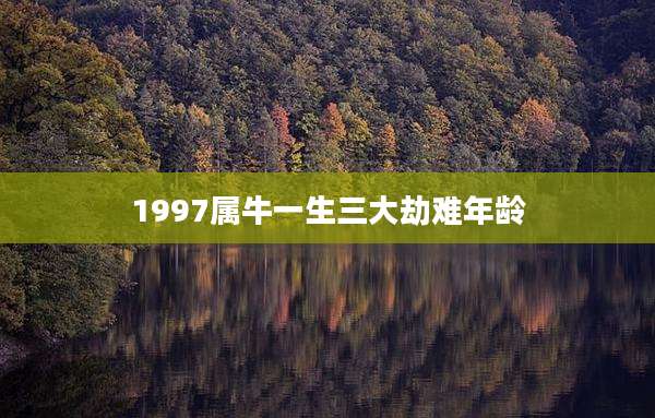 1997属牛一生三大劫难年龄