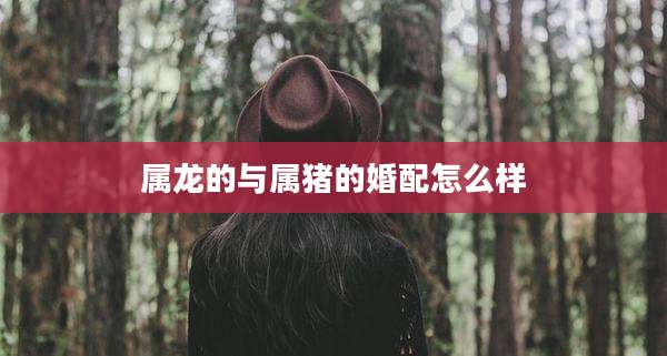 属龙的与属猪的婚配怎么样
