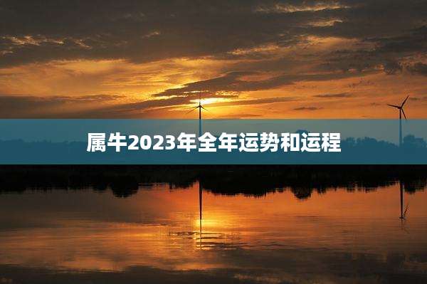 属牛2023年全年运势和运程