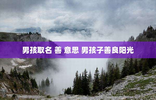 男孩取名 善 意思 男孩子善良阳光