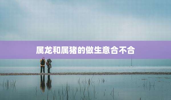 属龙和属猪的做生意合不合