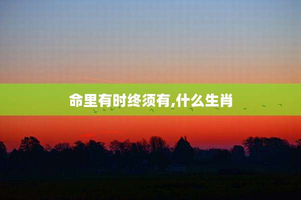命里有时终须有,什么生肖