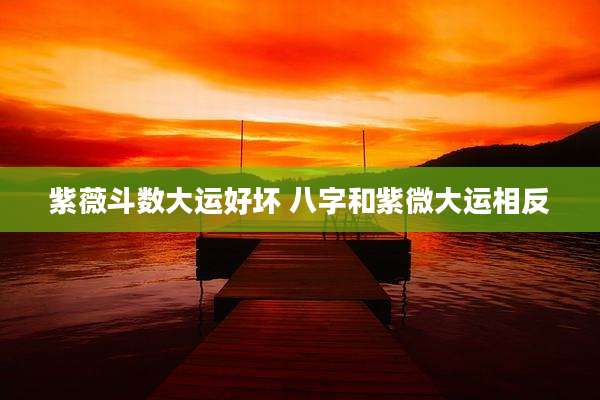 紫薇斗数大运好坏 八字和紫微大运相反