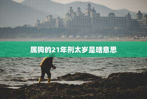 属狗的21年刑太岁是啥意思