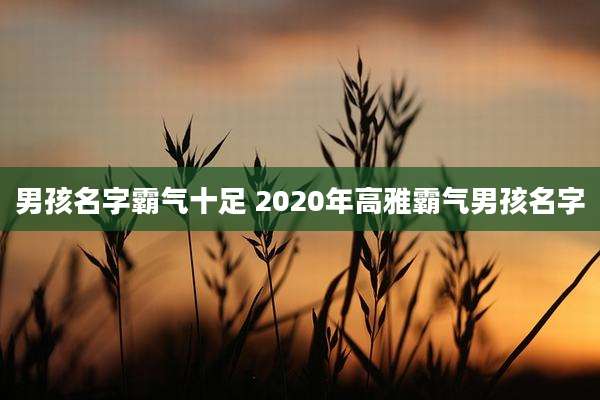 男孩名字霸气十足 2020年高雅霸气男孩名字