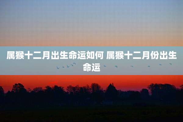 属猴十二月出生命运如何 属猴十二月份出生命运