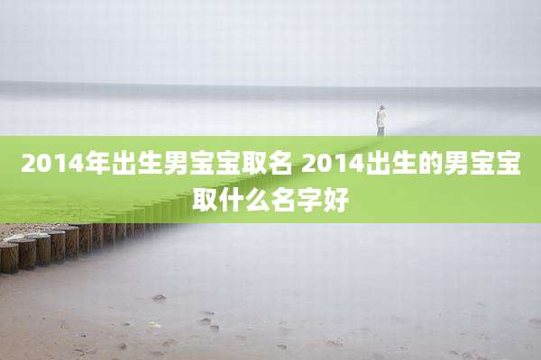 2014年出生男宝宝取名 2014出生的男宝宝取什么名字好