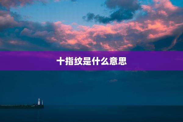 十指纹是什么意思