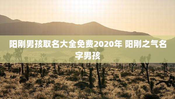 阳刚男孩取名大全免费2020年 阳刚之气名字男孩