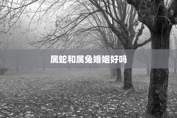 属蛇和属兔婚姻好吗