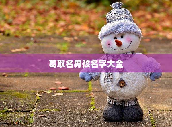 葛取名男孩名字大全