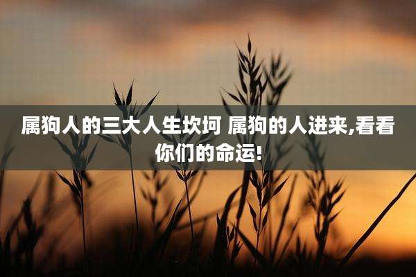属狗人的三大人生坎坷 属狗的人进来,看看你们的命运!