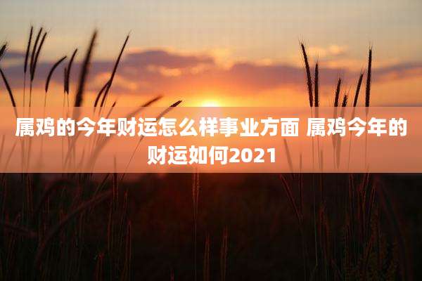 属鸡的今年财运怎么样事业方面 属鸡今年的财运如何2021