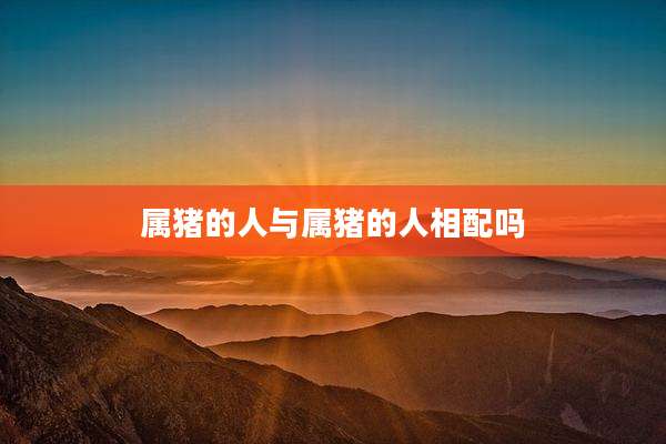 属猪的人与属猪的人相配吗