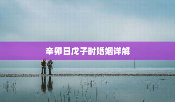 辛卯日戊子时婚姻详解