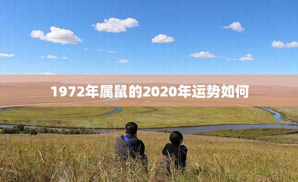 1972年属鼠的2020年运势如何
