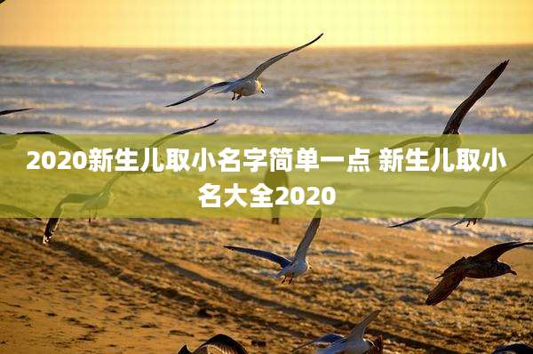 2020新生儿取小名字简单一点 新生儿取小名大全2020