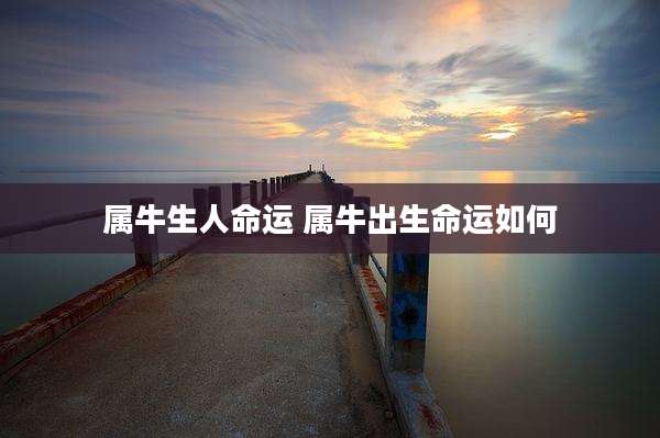 属牛生人命运 属牛出生命运如何