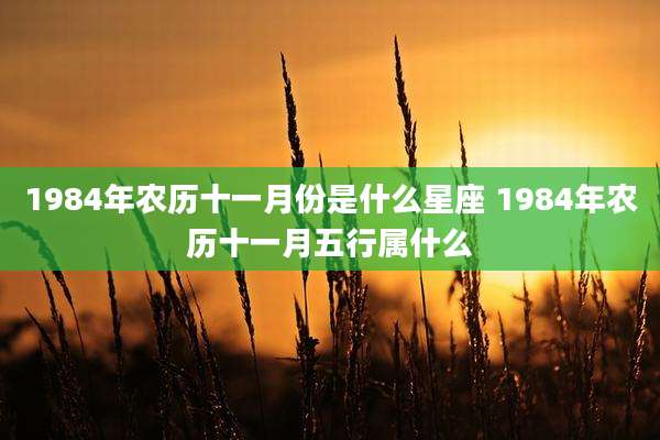 1984年农历十一月份是什么星座 1984年农历十一月五行属什么