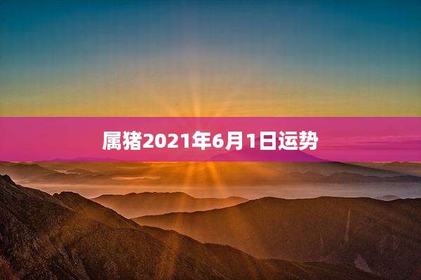 属猪2021年6月1日运势