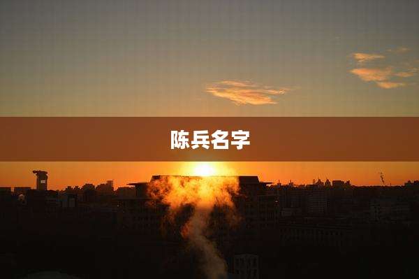 陈兵名字