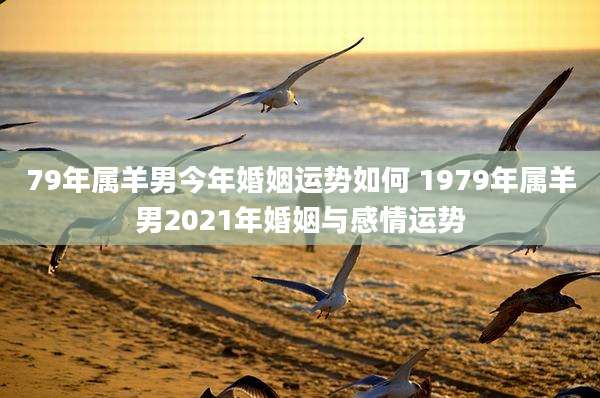 79年属羊男今年婚姻运势如何 1979年属羊男2021年婚姻与感情运势