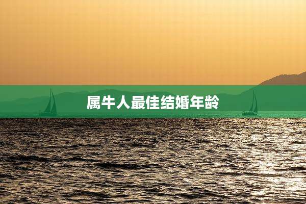 属牛人最佳结婚年龄