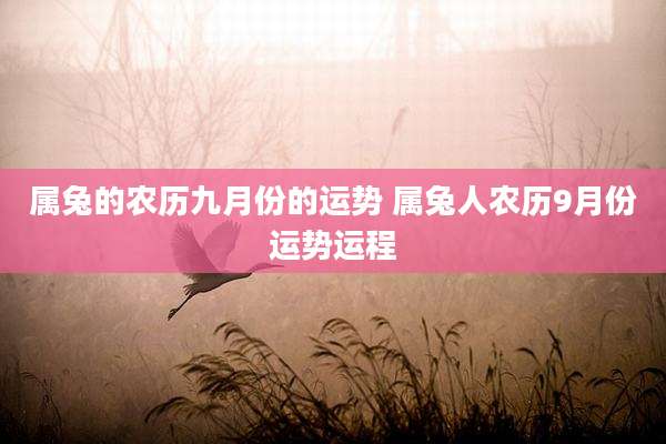 属兔的农历九月份的运势 属兔人农历9月份运势运程
