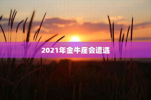 2021年金牛座会遭遇