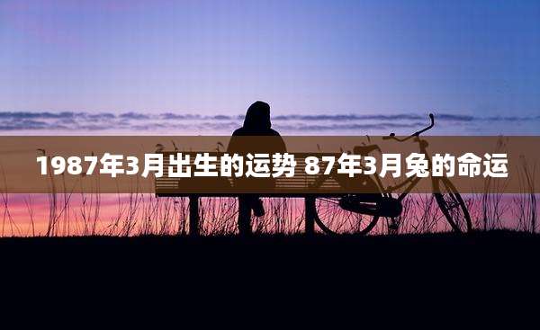 1987年3月出生的运势 87年3月兔的命运