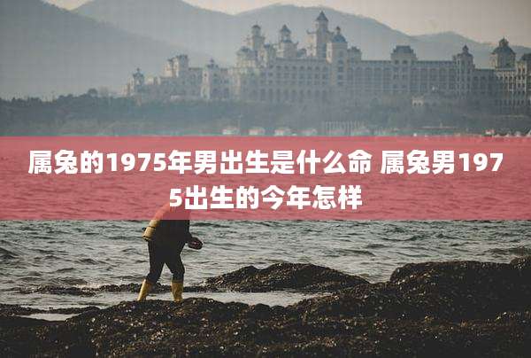 属兔的1975年男出生是什么命 属兔男1975出生的今年怎样