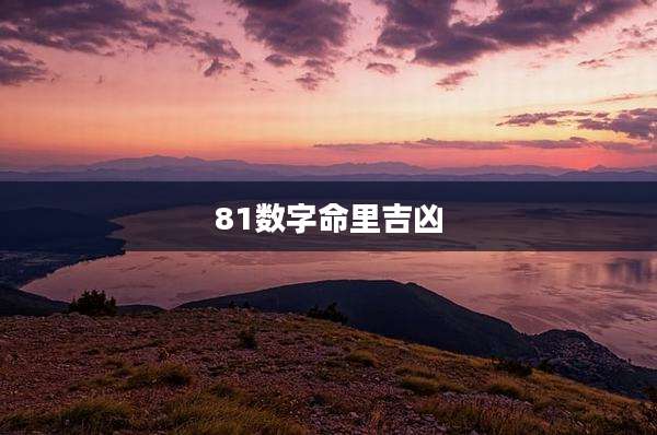 81数字命里吉凶
