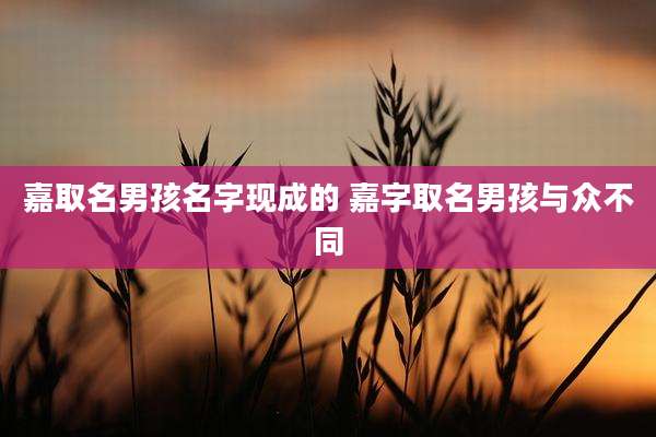 嘉取名男孩名字现成的 嘉字取名男孩与众不同