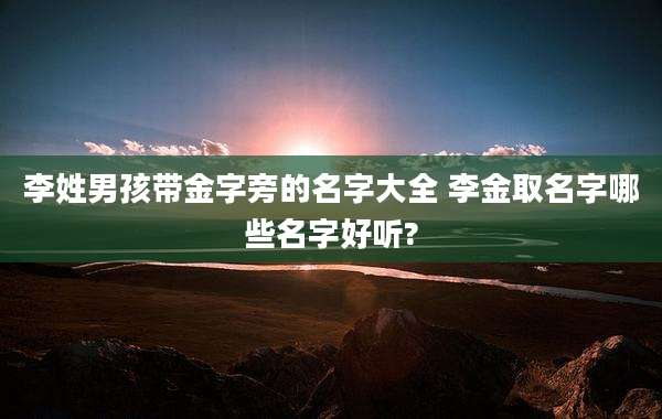 李姓男孩带金字旁的名字大全 李金取名字哪些名字好听?