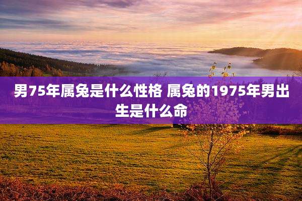 男75年属兔是什么性格 属兔的1975年男出生是什么命
