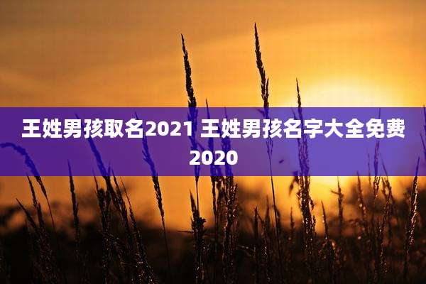 王姓男孩取名2021 王姓男孩名字大全免费2020