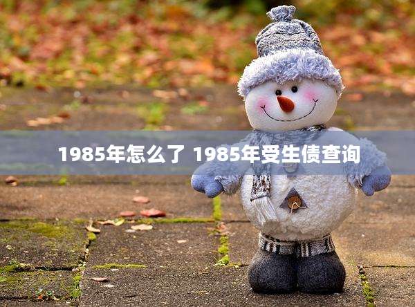 1985年怎么了 1985年受生债查询