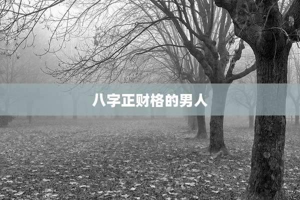 八字正财格的男人