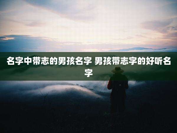 名字中带志的男孩名字 男孩带志字的好听名字