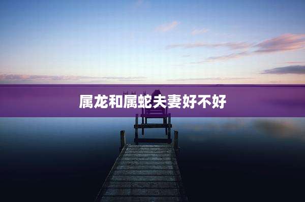 属龙和属蛇夫妻好不好