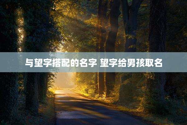 与望字搭配的名字 望字给男孩取名