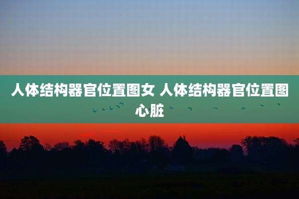 人体结构器官位置图女 人体结构器官位置图心脏