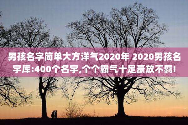 男孩名字简单大方洋气2020年 2020男孩名字库:400个名字,个个霸气十足豪放不羁!