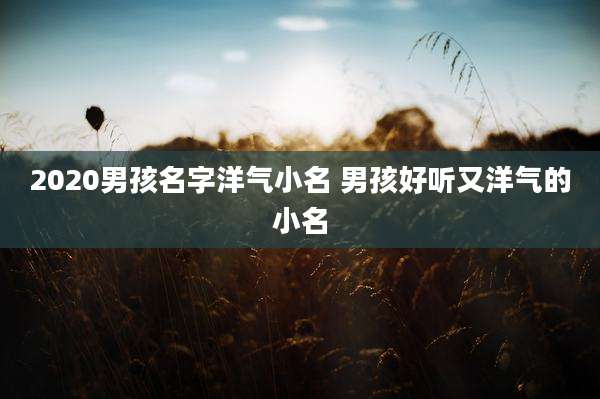 2020男孩名字洋气小名 男孩好听又洋气的小名