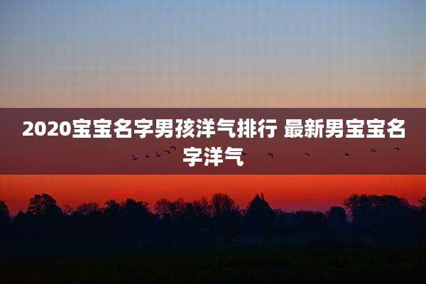 2020宝宝名字男孩洋气排行 最新男宝宝名字洋气