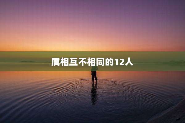 属相互不相同的12人
