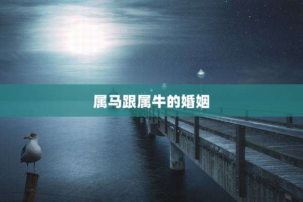 属马跟属牛的婚姻