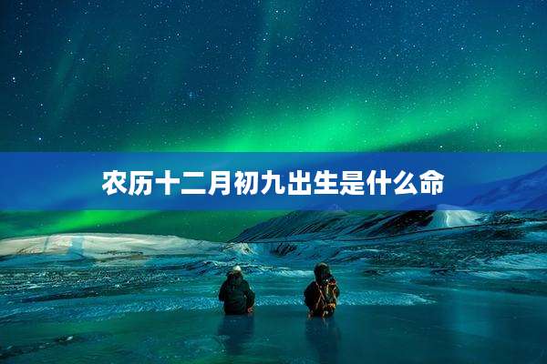 农历十二月初九出生是什么命
