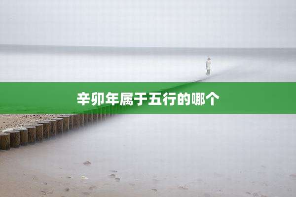 辛卯年属于五行的哪个