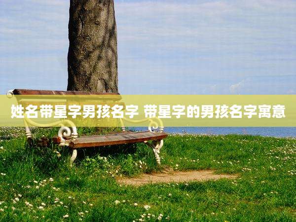 姓名带星字男孩名字 带星字的男孩名字寓意
